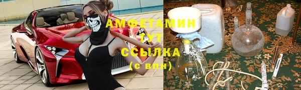 ГАЛЛЮЦИНОГЕННЫЕ ГРИБЫ Пересвет