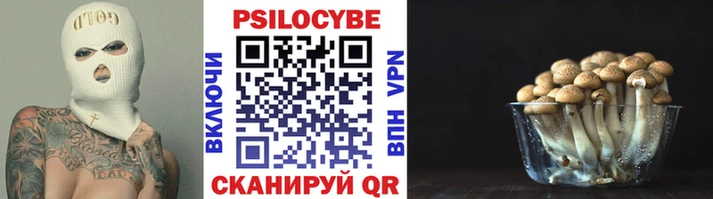 даркнет сайт  Карабаново  Галлюциногенные грибы мухоморы 
